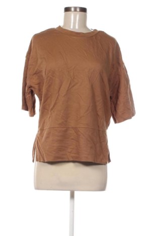 Női blúz Unbranded, Méret XL, Szín Barna, Ár 2 559 Ft