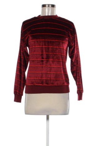 Damen Shirt Unbranded, Größe S, Farbe Mehrfarbig, Preis 10,00 €