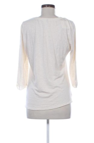 Дамска блуза Unbranded, Размер M, Цвят Многоцветен, Цена 18,42 €