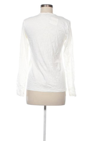 Γυναικεία μπλούζα United Colors Of Benetton, Μέγεθος 3XL, Χρώμα Πολύχρωμο, Τιμή 6,99 €