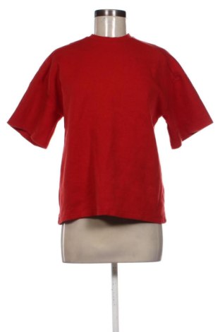 Damen Shirt Zara, Größe S, Farbe Rot, Preis 17,99 €