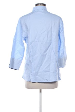 Damenbluse Andrews, Größe 3XL, Farbe Blau, Preis € 48,00