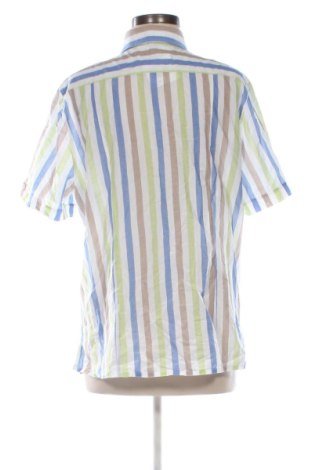 Damenbluse Basler, Größe XL, Farbe Mehrfarbig, Preis 31,99 €