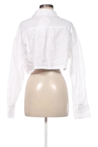 Damenbluse Bershka, Größe L, Farbe Weiß, Preis € 16,99