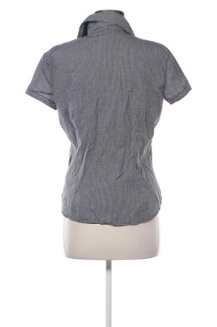 Dámska košeľa  Calvin Klein, Veľkosť XXL, Farba Viacfarebná, Cena  31,65 €