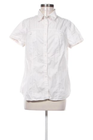 Damenbluse Lerros, Größe M, Farbe Ecru, Preis 17,39 €