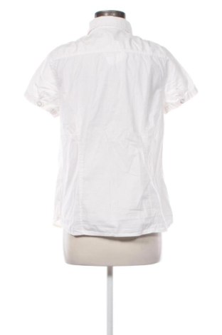 Damenbluse Lerros, Größe M, Farbe Ecru, Preis 17,39 €