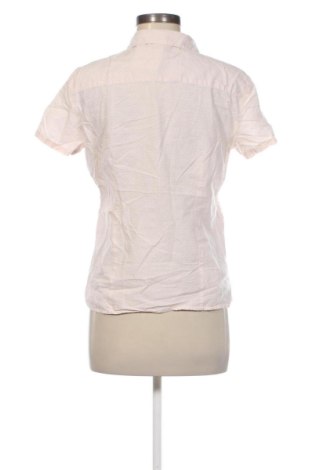 Damenbluse Montego, Größe M, Farbe Rosa, Preis 16,99 €