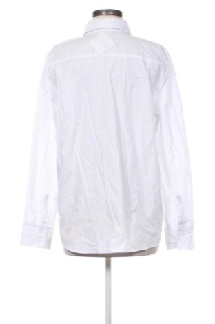 Damenbluse Sinsay, Größe XL, Farbe Weiß, Preis € 13,00