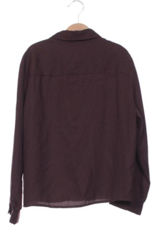 Damenbluse Terranova, Größe XS, Farbe Lila, Preis € 13,00