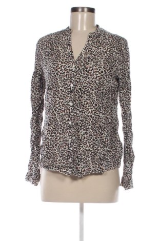 Damenbluse Terranova, Größe XL, Farbe Mehrfarbig, Preis € 7,99