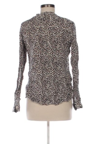 Damenbluse Terranova, Größe XL, Farbe Mehrfarbig, Preis € 7,99