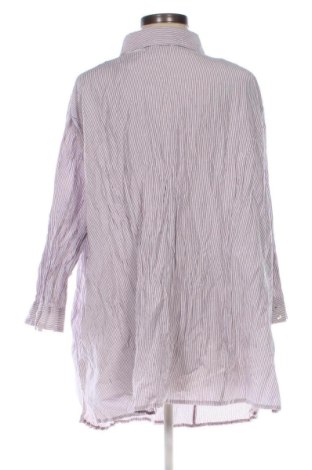 Damenbluse Ulla Popken, Größe 3XL, Farbe Mehrfarbig, Preis € 12,99