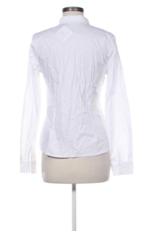 Damenbluse Unbranded, Größe M, Farbe Weiß, Preis 13,00 €