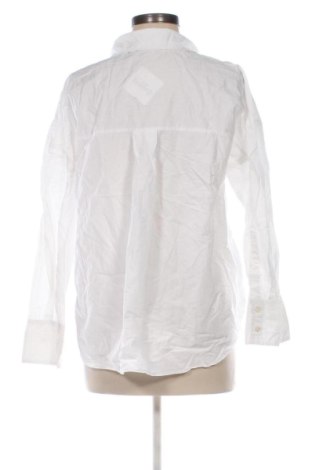 Damenbluse Zara, Größe S, Farbe Weiß, Preis € 12,99