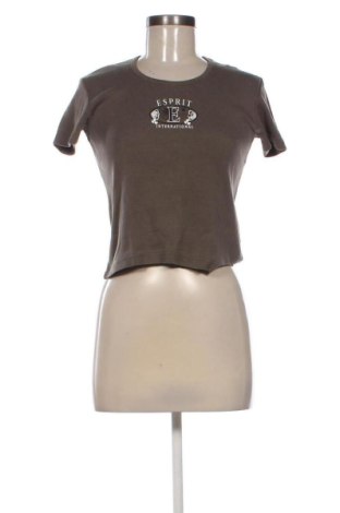 Damen T-Shirt Esprit, Größe M, Farbe Grün, Preis € 12,99
