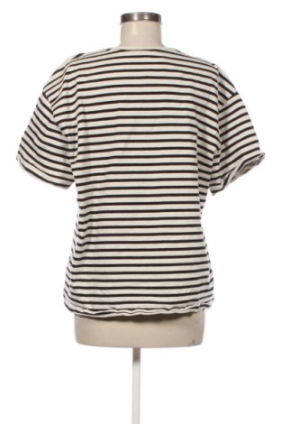 Damen T-Shirt Massimo Dutti, Größe XL, Farbe Ecru, Preis € 18,99