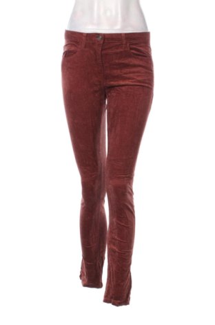 Damen Cordhose Esprit, Größe S, Farbe Mehrfarbig, Preis € 11,99