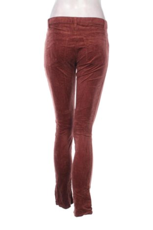 Damen Cordhose Esprit, Größe S, Farbe Mehrfarbig, Preis € 11,99