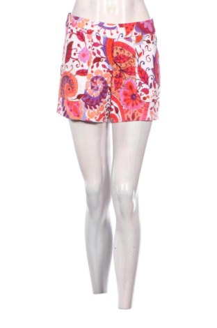 Γυναικείο κοντό παντελόνι Caroline Biss, Μέγεθος L, Χρώμα Πολύχρωμο, Τιμή 8,99 €
