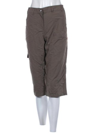 Γυναικείο κοντό παντελόνι TCM, Μέγεθος L, Χρώμα Καφέ, Τιμή 11,99 €