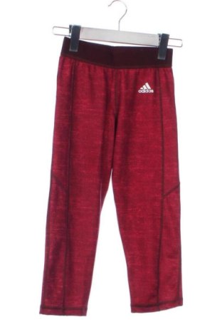 Damen Leggings Adidas, Größe XS, Farbe Rot, Preis 17,46 €