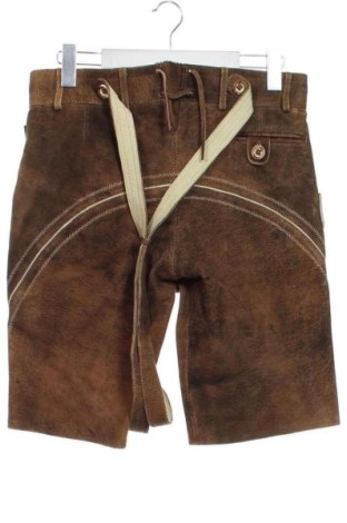 Γυναικείο παντελόνι δερμάτινο Wiesnkoenig, Μέγεθος L, Χρώμα Καφέ, Τιμή 264,99 €