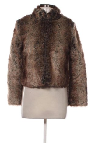 Damenmantel Anonyme designers, Größe S, Farbe Mehrfarbig, Preis 77,00 €