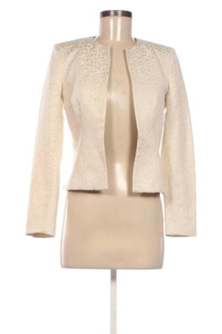 Damen Blazer H&M, Größe S, Farbe Mehrfarbig, Preis 24,55 €