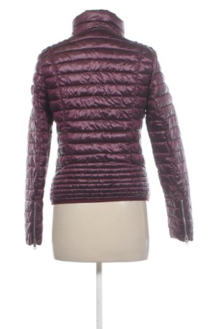 Dámská bunda  Amisu, Velikost M, Barva Fialová, Cena  339,00 Kč