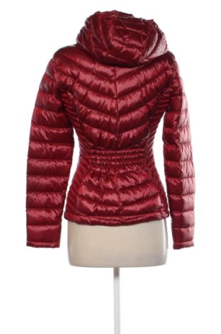 Γυναικείο μπουφάν Calvin Klein, Μέγεθος S, Χρώμα Κόκκινο, Τιμή 87,42 €
