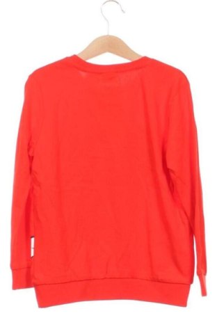 Детска блуза LC Waikiki, Размер 5-6y/ 116-122 см, Цвят Многоцветен, Цена 9,00 €