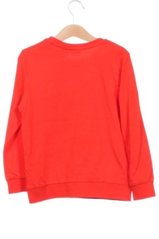 Детска блуза LC Waikiki, Размер 4-5y/ 110-116 см, Цвят Многоцветен, Цена 6,00 €