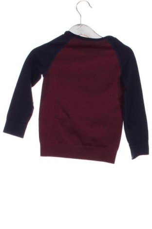 Kinder Shirt Lupilu, Größe 2-3y/ 98-104 cm, Farbe Mehrfarbig, Preis € 12,85