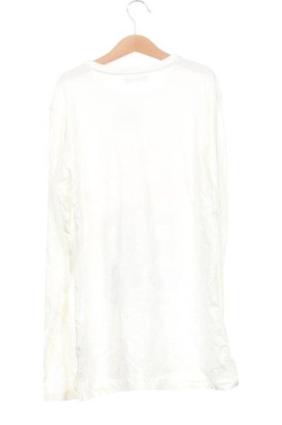 Detská blúzka  Piazza Italia, Veľkosť 13-14y/ 164-168 cm, Farba Kremová, Cena  5,95 €