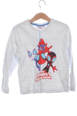 Детска блуза Primark, Размер 4-5y/ 110-116 см, Цвят Сив, Цена 6,00 €