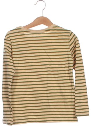 Dětská halenka  Sinsay, Velikost 3-4y/ 104-110 cm, Barva Vícebarevné, Cena  170,00 Kč