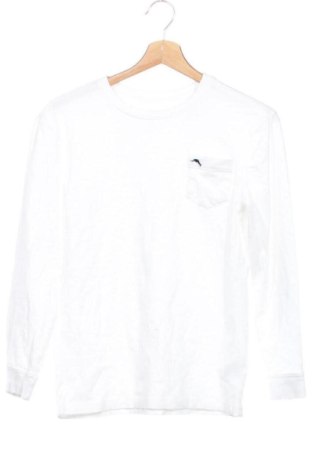 Kinder Shirt Tommy Bahama, Größe 12-13y/ 158-164 cm, Farbe Weiß, Preis € 10,26