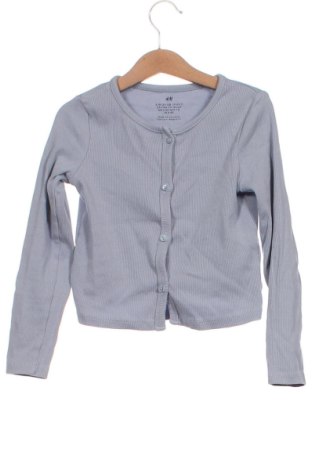 Pulover cu nasturi pentru copii H&M, Mărime 5-6y/ 116-122 cm, Culoare Gri, Preț 45,00 Lei