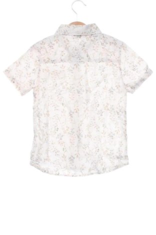 Cămașă pentru copii Chicco, Mărime 5-6y/ 116-122 cm, Culoare Multicolor, Preț 31,28 Lei