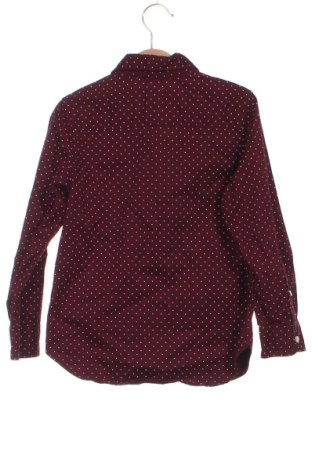Dětská košile  H&M, Velikost 5-6y/ 116-122 cm, Barva Vícebarevné, Cena  304,00 Kč