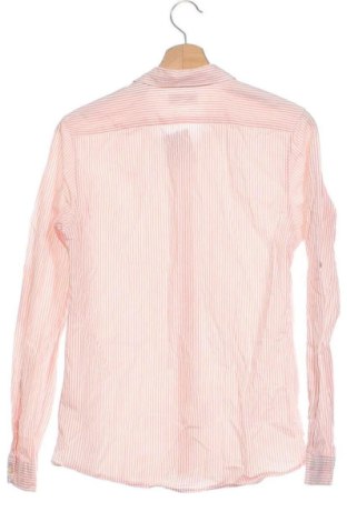 Cămașă pentru copii Scotch Shrunk, Mărime 13-14y/ 164-168 cm, Culoare Multicolor, Preț 146,59 Lei