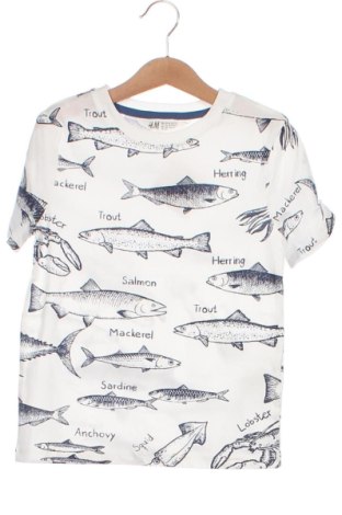 Dětské tričko  H&M, Velikost 4-5y/ 110-116 cm, Barva Vícebarevné, Cena  142,00 Kč