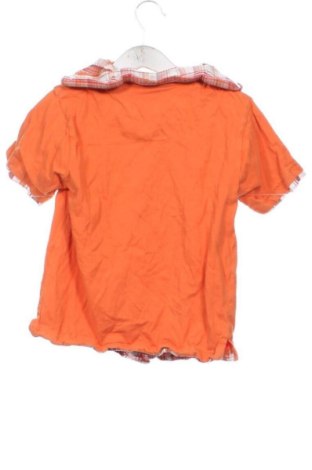 Kinder T-Shirt Palomino, Größe 4-5y/ 110-116 cm, Farbe Mehrfarbig, Preis € 6,00