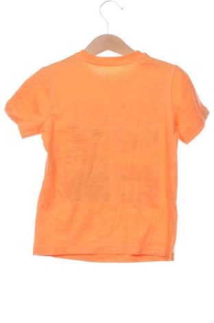 Tricou pentru copii Primigi, Mărime 5-6y/ 116-122 cm, Culoare Portocaliu, Preț 47,99 Lei
