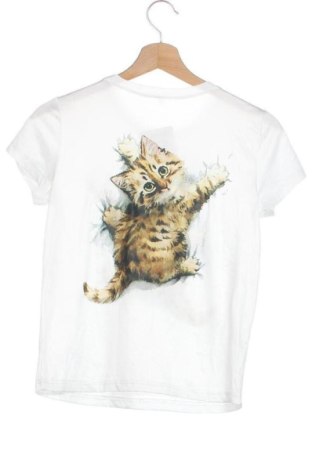 Tricou pentru copii Unbranded, Mărime 10-11y/ 146-152 cm, Culoare Multicolor, Preț 31,99 Lei