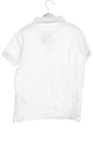 Dziecięcy T-shirt Zara, Rozmiar 6-7y/ 122-128 cm, Kolor Biały, Cena 28,99 zł