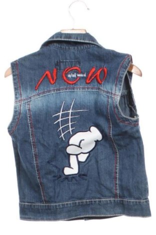 Kinderweste Unbranded, Größe 4-5y/ 110-116 cm, Farbe Blau, Preis € 10,74