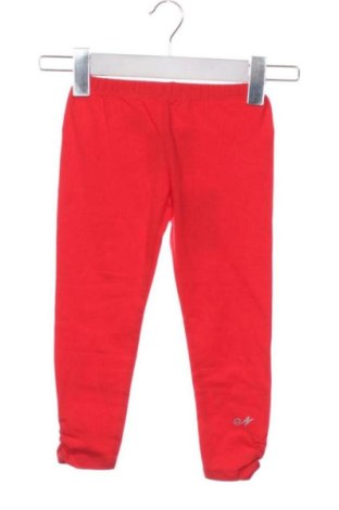 Dziecięce legginsy Ninetta, Rozmiar 18-24m/ 86-98 cm, Kolor Czerwony, Cena 64,30 zł