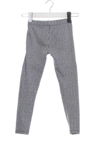 Dziecięce legginsy Pepco, Rozmiar 5-6y/ 116-122 cm, Kolor Kolorowy, Cena 20,99 zł